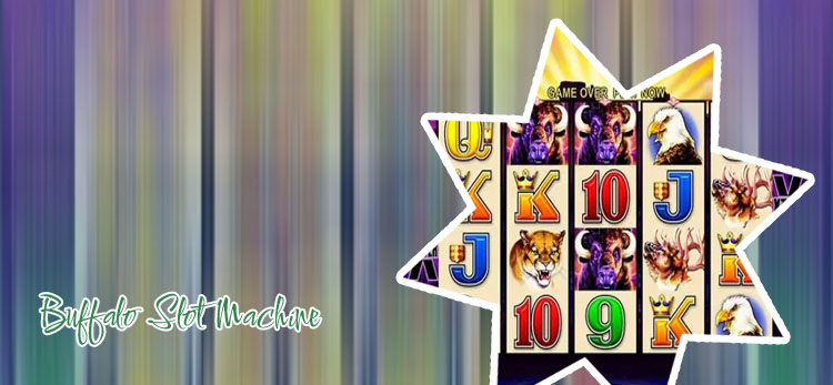Play buffalo slot machine online free